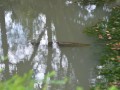 Tn 0435 DSC 5748